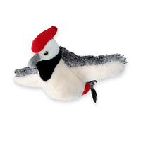 Woodpecker