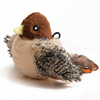 Sparrow