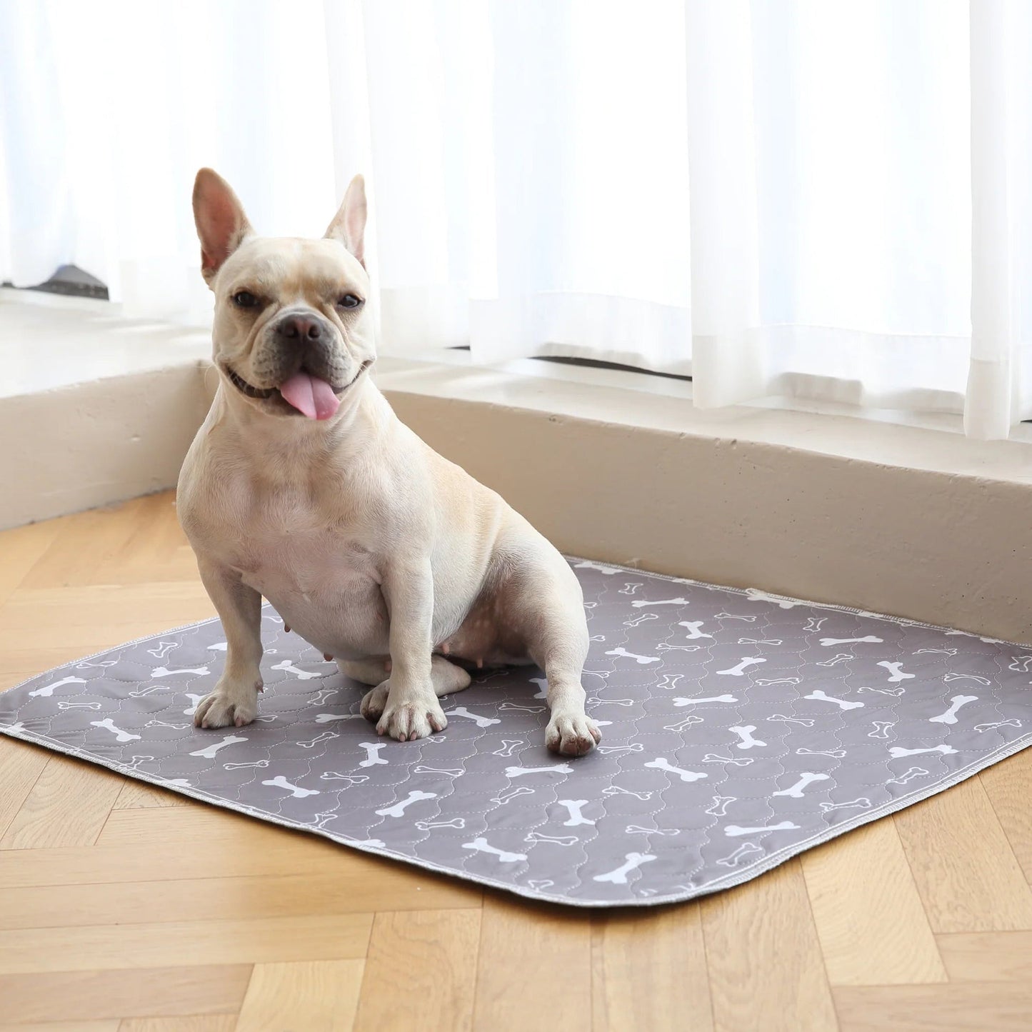 🐶The Pinnacle of Pet Pee Pads! - The Last Pee Pad You'll Get