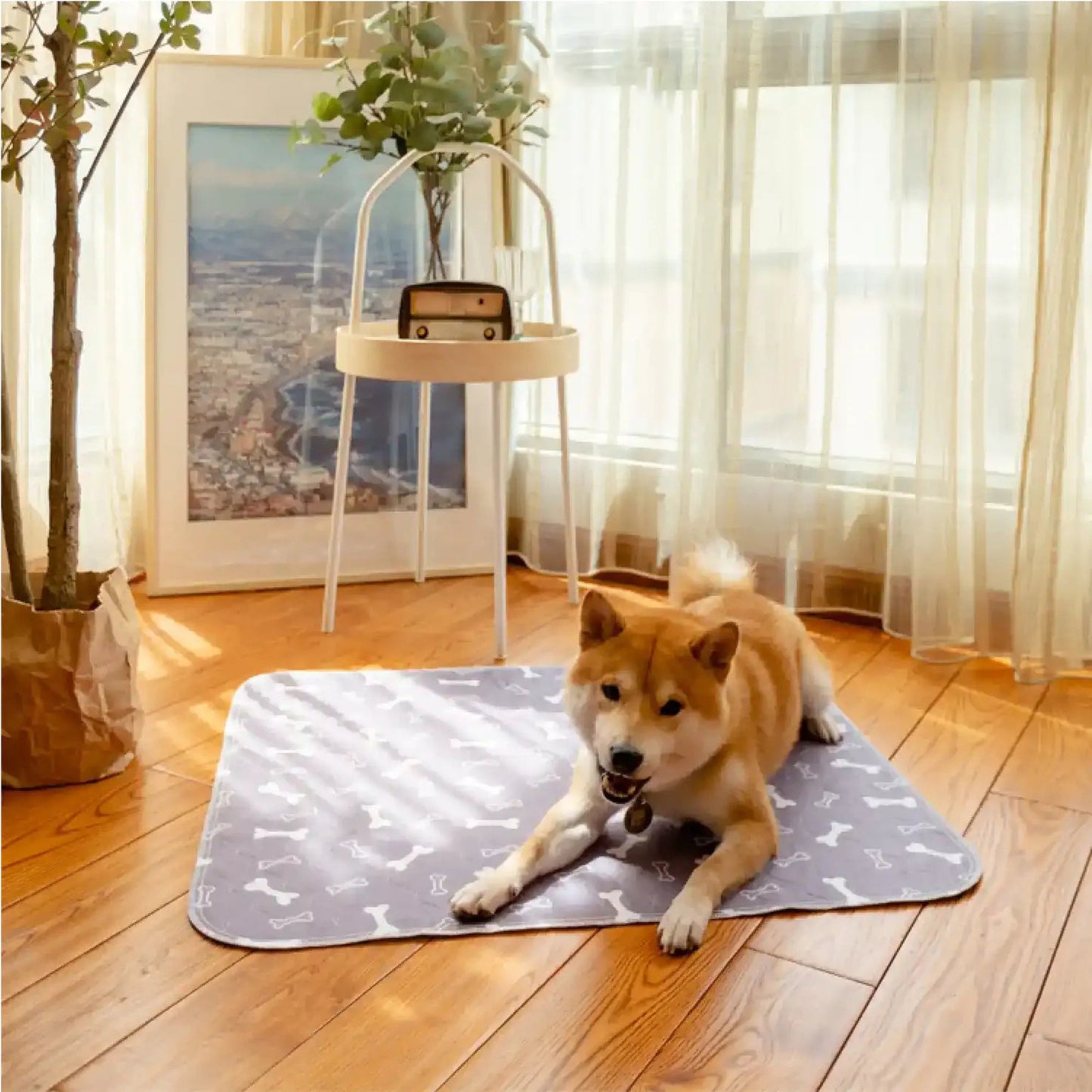 🐶The Pinnacle of Pet Pee Pads! - The Last Pee Pad You'll Get