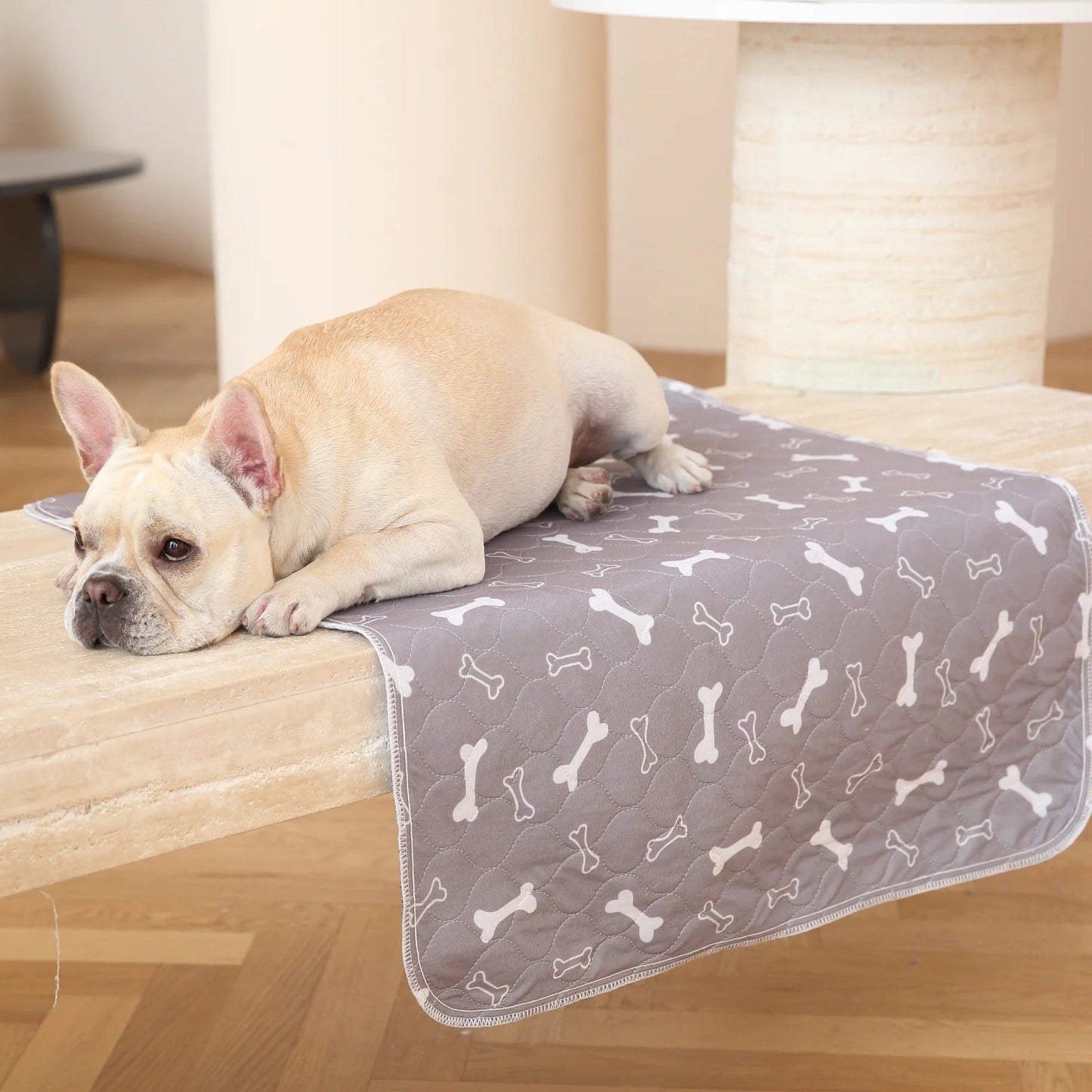 🐶The Pinnacle of Pet Pee Pads! - The Last Pee Pad You'll Get