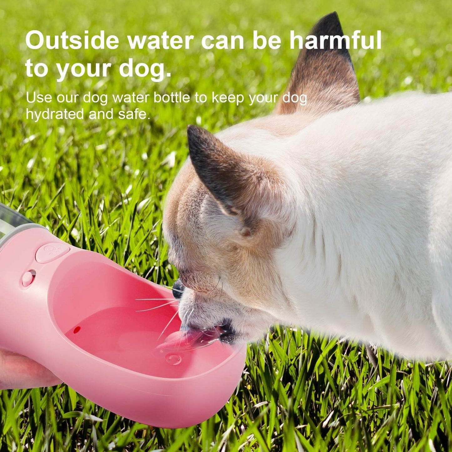 ✨Portable Pet Travel Water Bottle for Cats and Dogs
