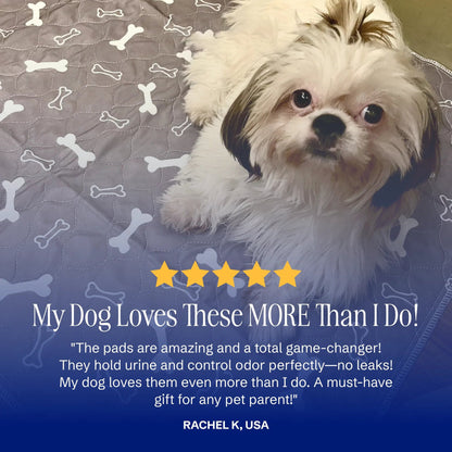 🐶The Pinnacle of Pet Pee Pads! - The Last Pee Pad You'll Get