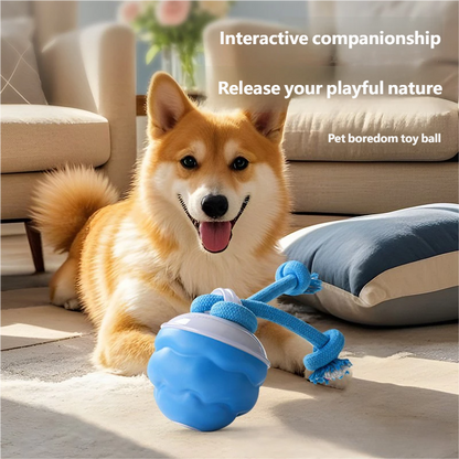 Smart Bouncing Dog Toy – No More Chewed Furniture🐶✨